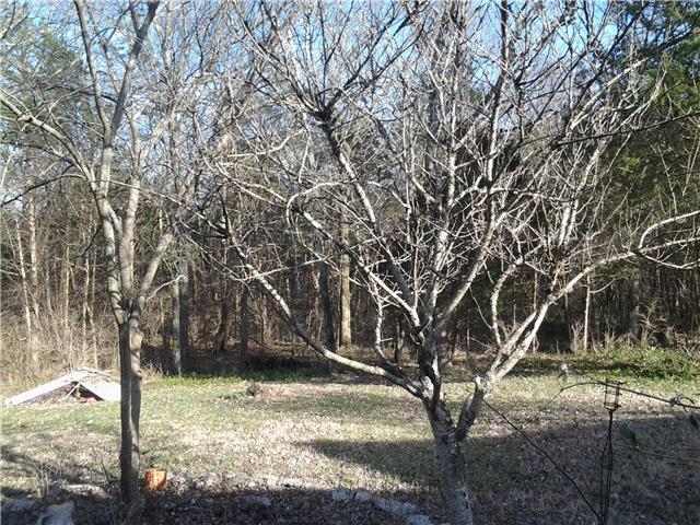 3560 Shakertown Road Antioch, TN 37013 - Photo 4 of 5 Gallery Image 4