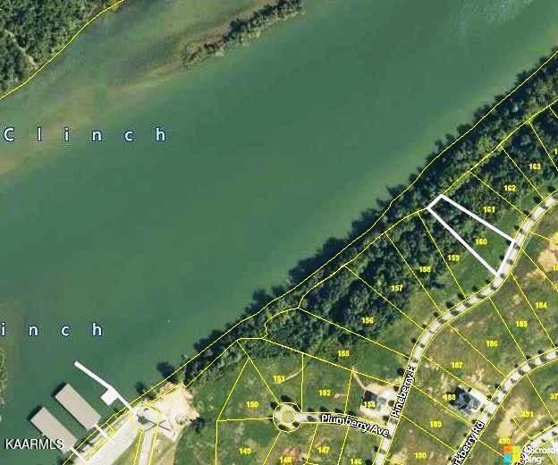 164 Pineberry East Road, Unit LOT 160 Oak Ridge, TN 37830 - Photo 1 of 34 Aerial from CRS - Lot 160 #1 C