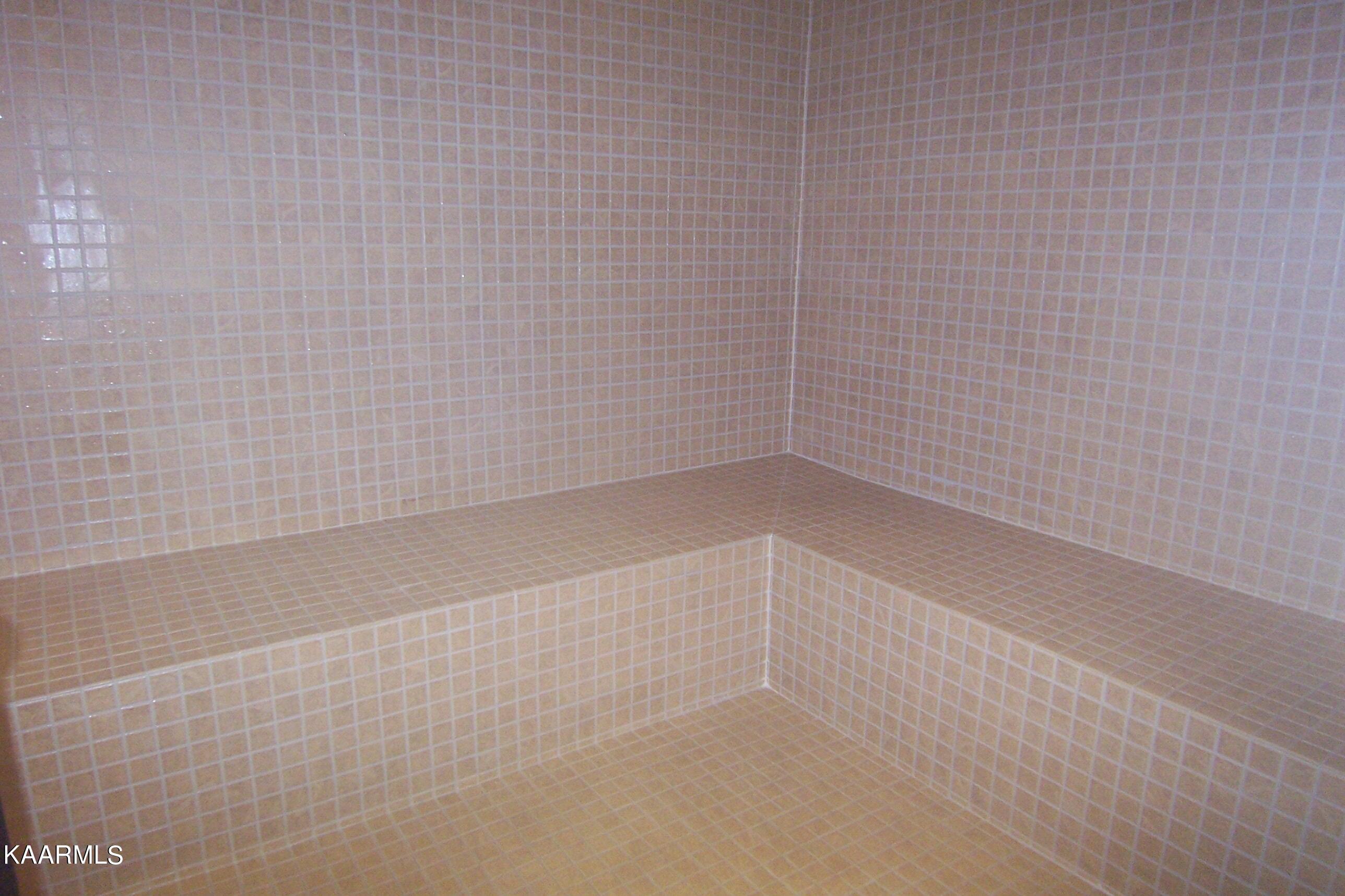 164 Pineberry East Road, Unit LOT 160 Oak Ridge, TN 37830 - Photo 25 of 34 45 Steam Room