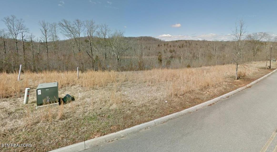 164 Pineberry East Road, Unit LOT 160 Oak Ridge, TN 37830 - Photo 4 of 34 Street Frontage Lot 160 #3