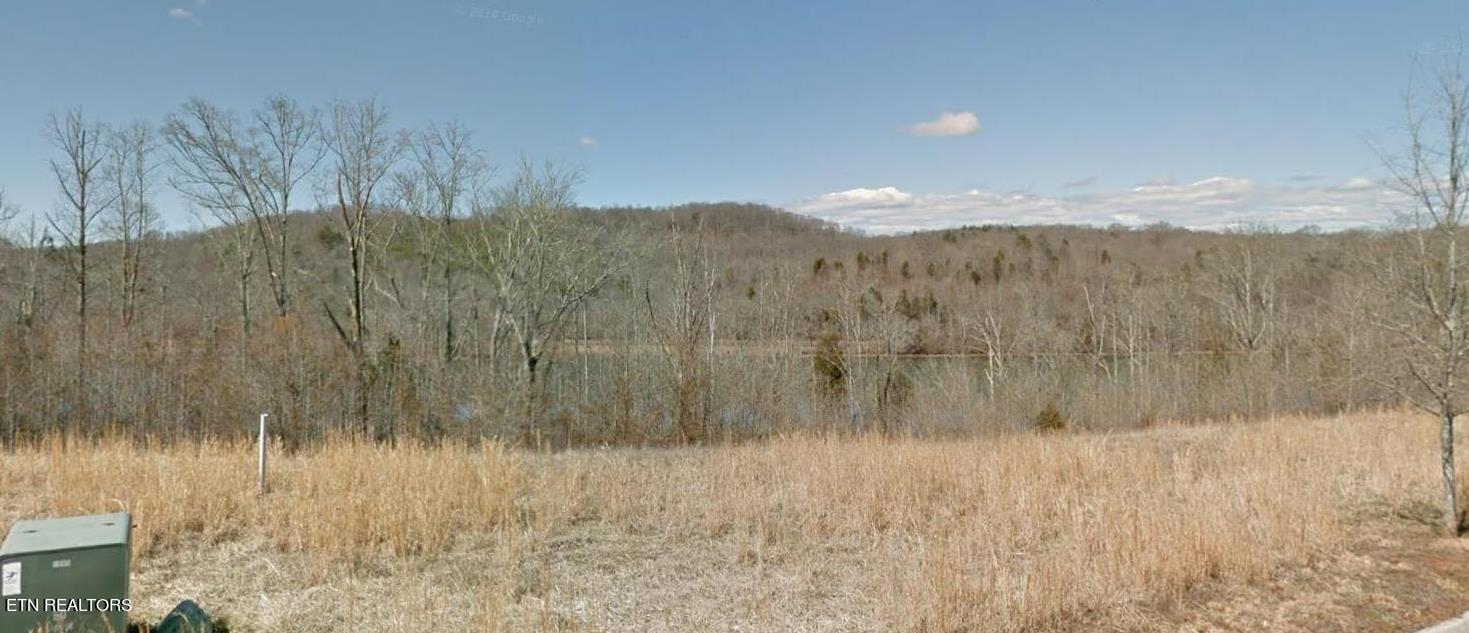 164 Pineberry East Road, Unit LOT 160 Oak Ridge, TN 37830 - Photo 6 of 34 View along Left Lot Line #2