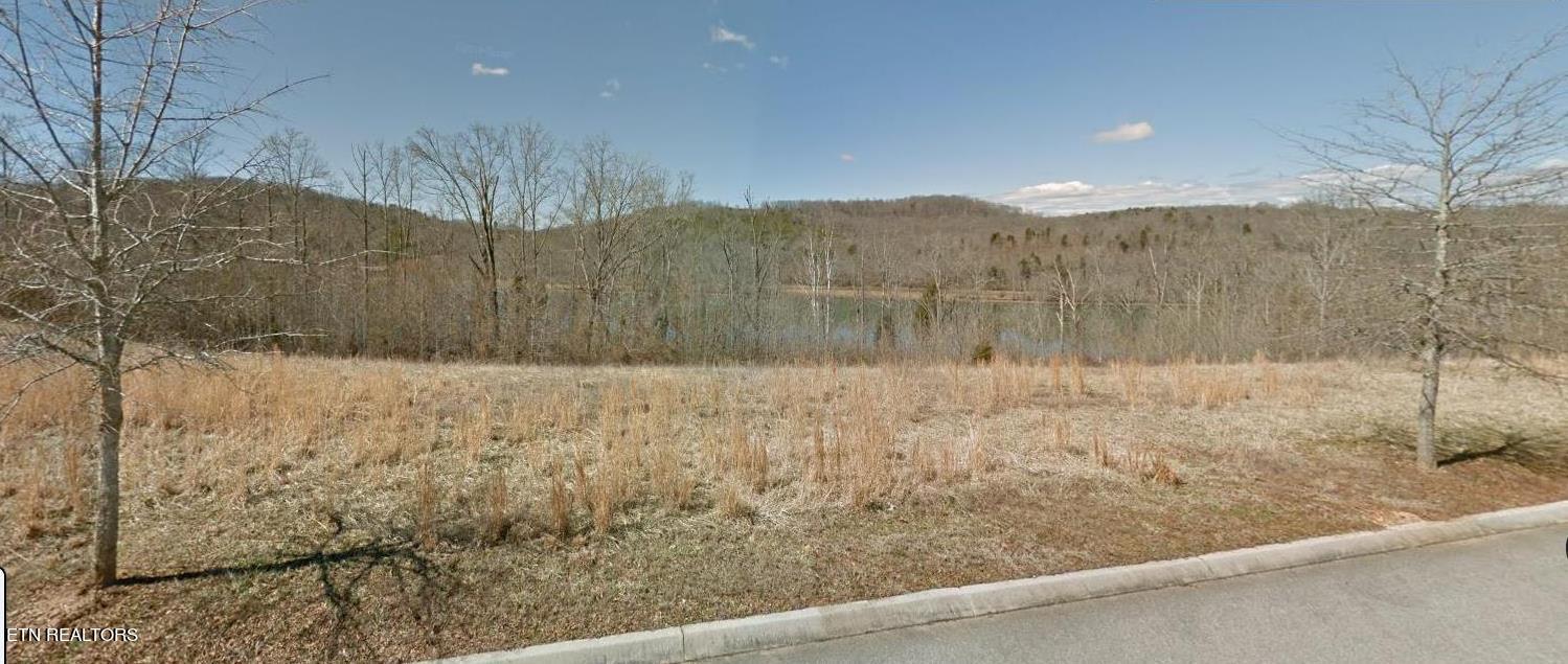 164 Pineberry East Road, Unit LOT 160 Oak Ridge, TN 37830 - Photo 7 of 34 View along Right Lot Line - Lot 160 #2