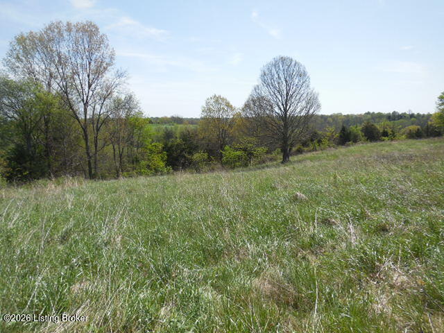 1655 Stewart Ridge Road Sparta, KY 41086 - Photo 26 of 31 DSCN3108