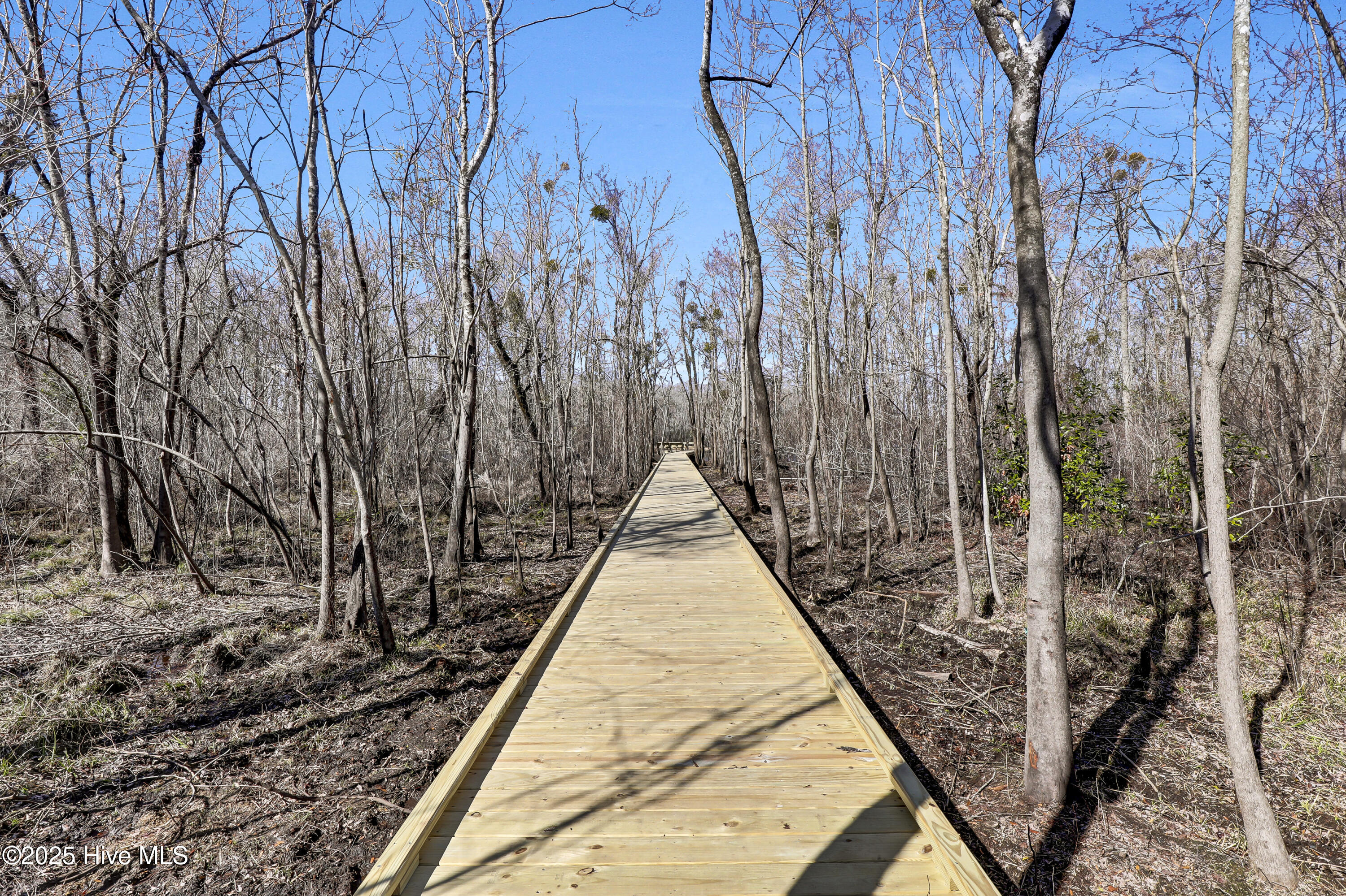 274 Talbert Drive Rocky Point, NC 28457 - Photo 2 of 6 Community Kayak Launch