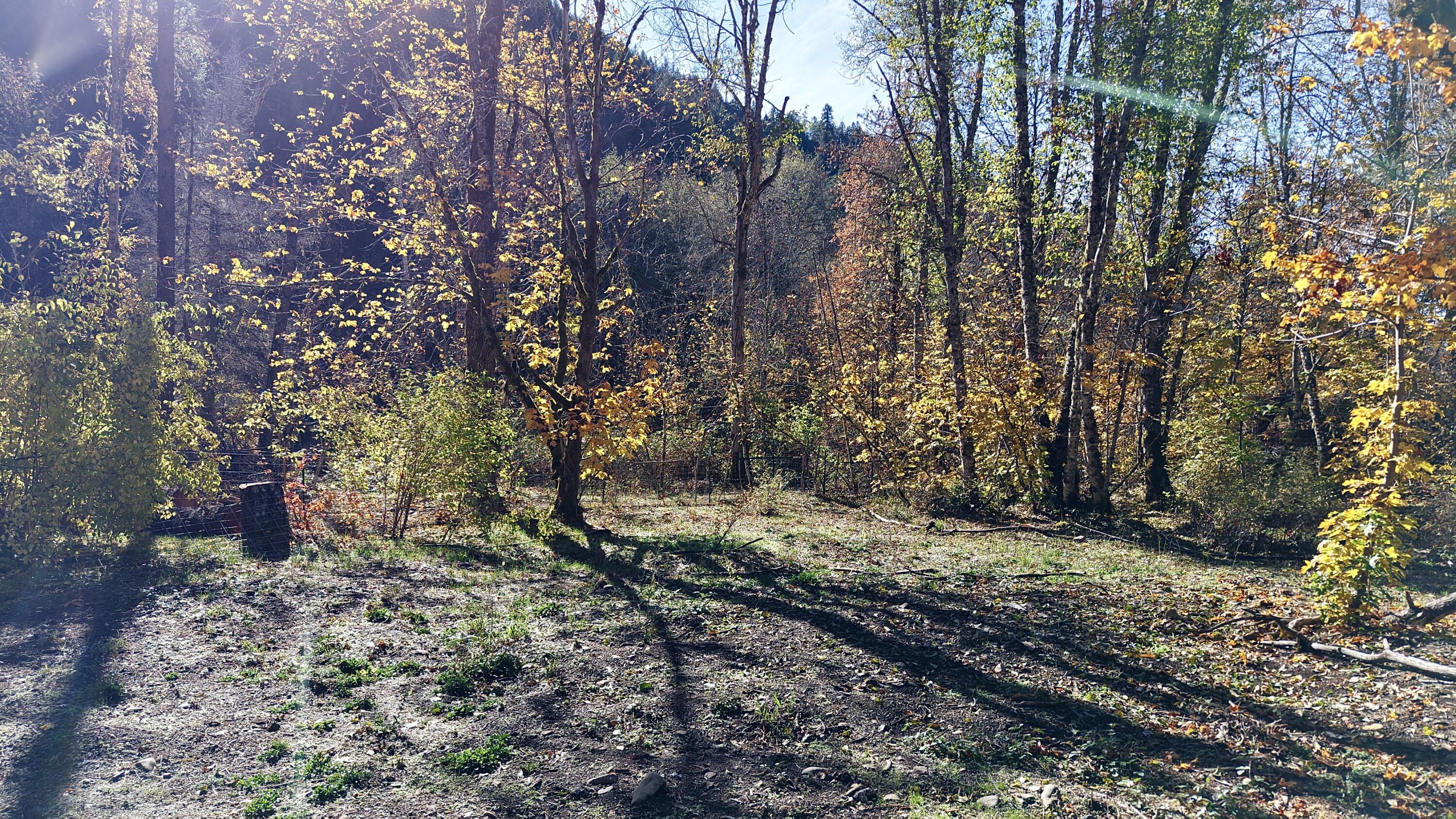 52 Dodes Creek Road Trail, OR 97541 - Photo 84 of 110 Acreage