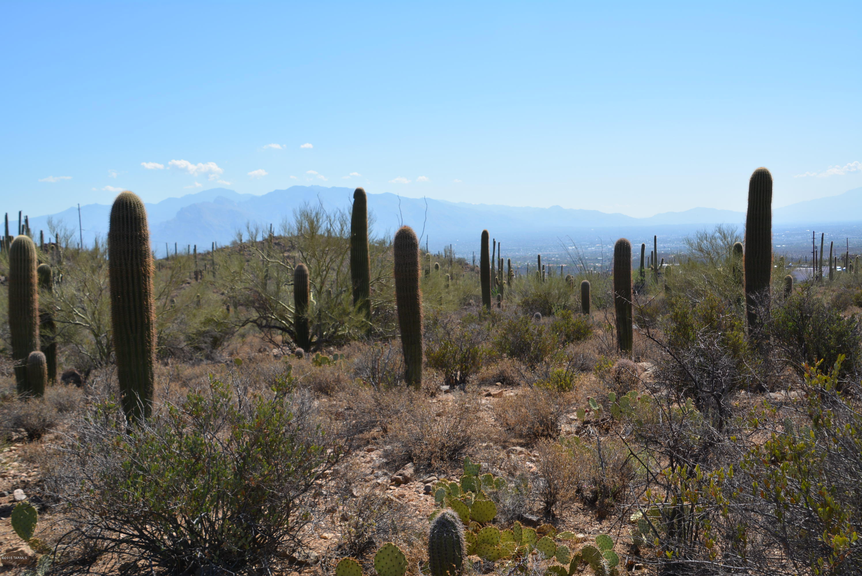 0 Broken Spring Tucson, AZ 85745 - Photo 15 of 24