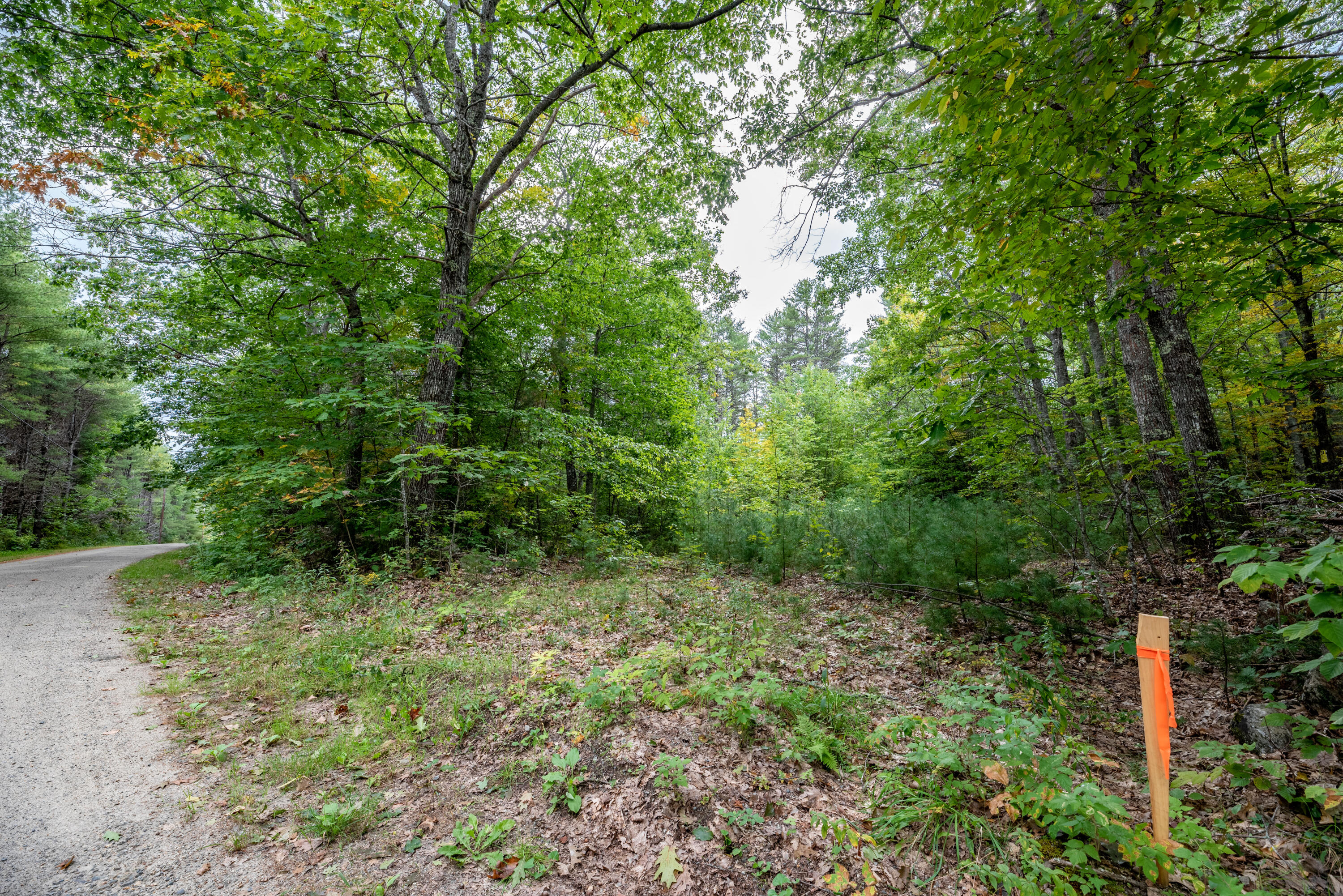 0 Ledge Hill Road Pittston, ME 04345 - Photo 3 of 11 Land4