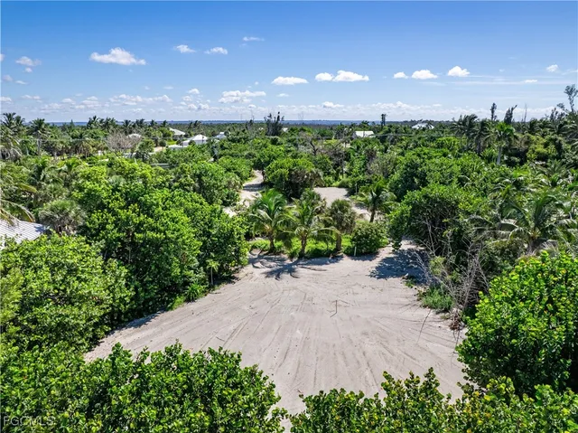 a view of a pathway both side of green field