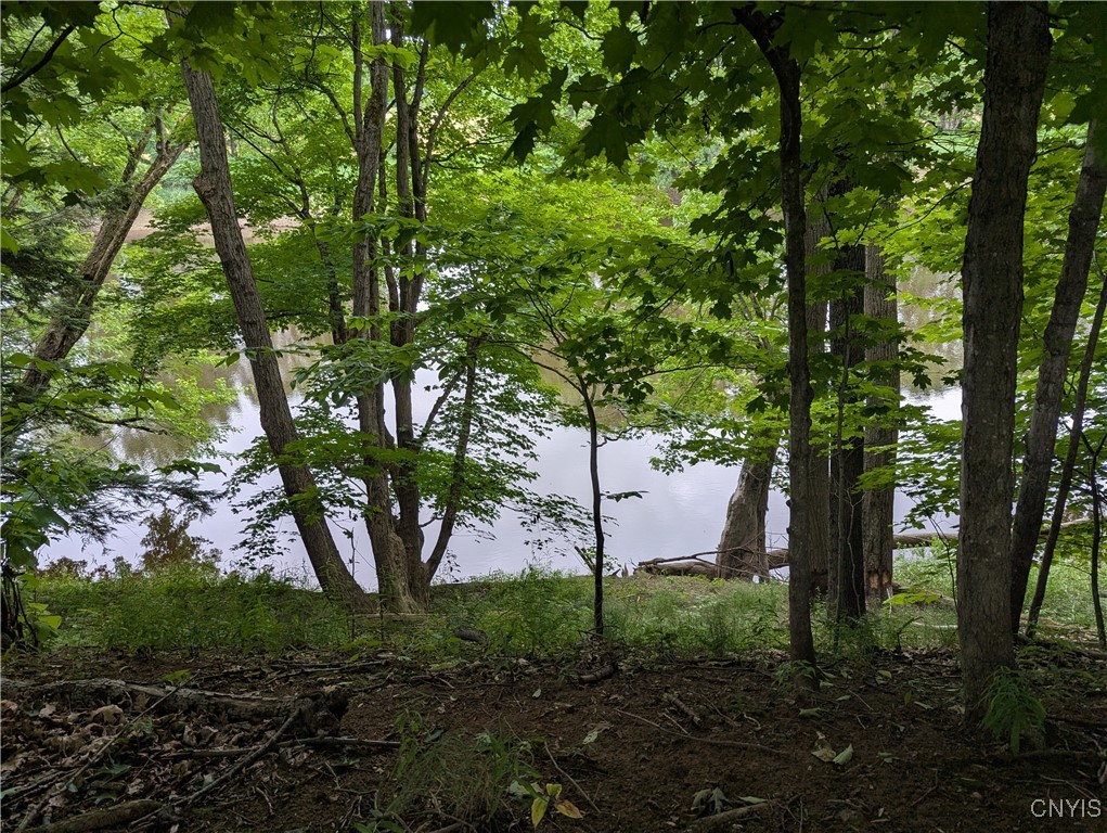 6661 Pine Grove Road Watson, NY 13343 - Photo 18 of 19