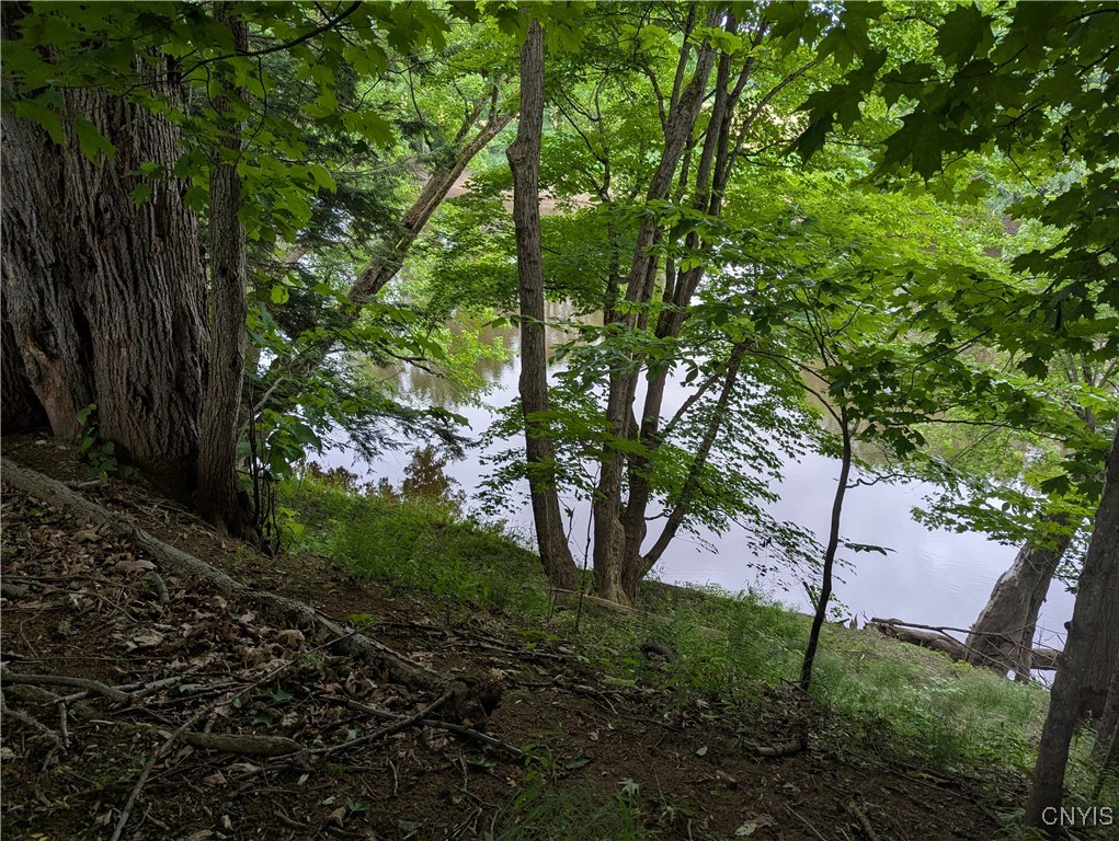 6661 Pine Grove Road Watson, NY 13343 - Photo 19 of 19