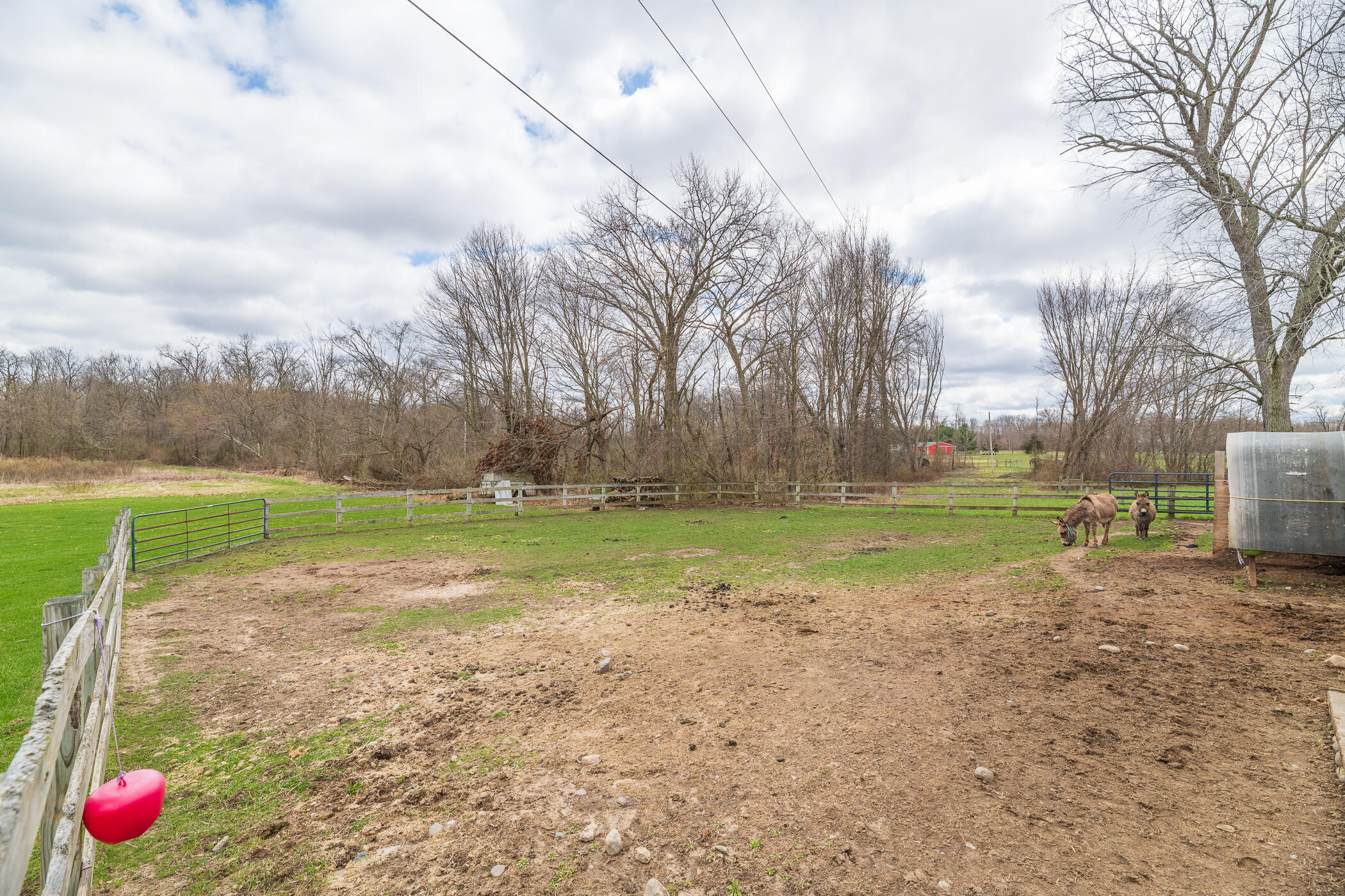 66947 Patterson Road Constantine, MI 49042 - Photo 37 of 56 Acreage