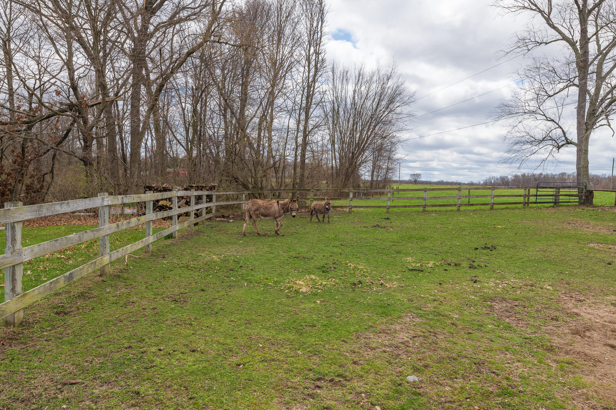 66947 Patterson Road Constantine, MI 49042 - Photo 40 of 56 Acreage