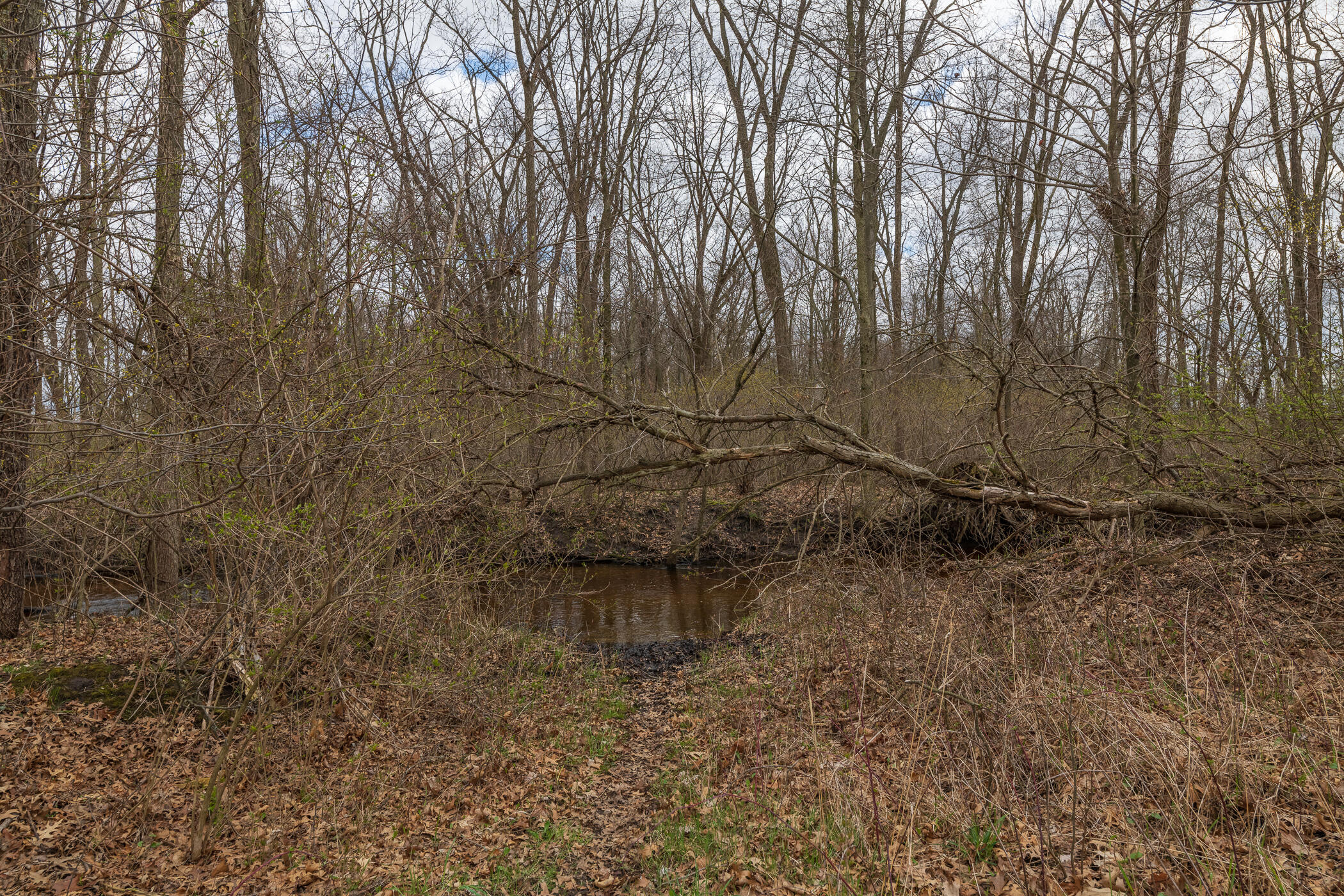 66947 Patterson Road Constantine, MI 49042 - Photo 43 of 56 Acreage
