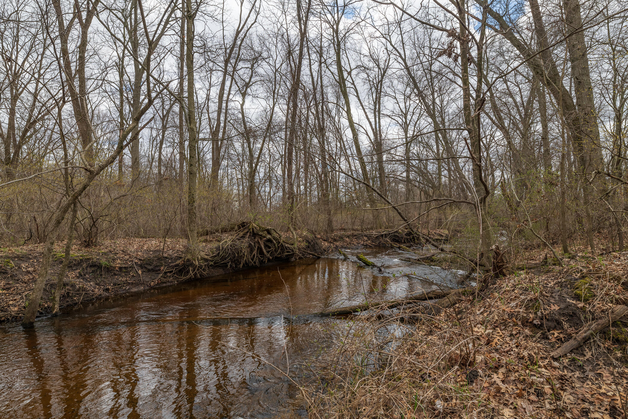 66947 Patterson Road Constantine, MI 49042 - Photo 44 of 56 Acreage