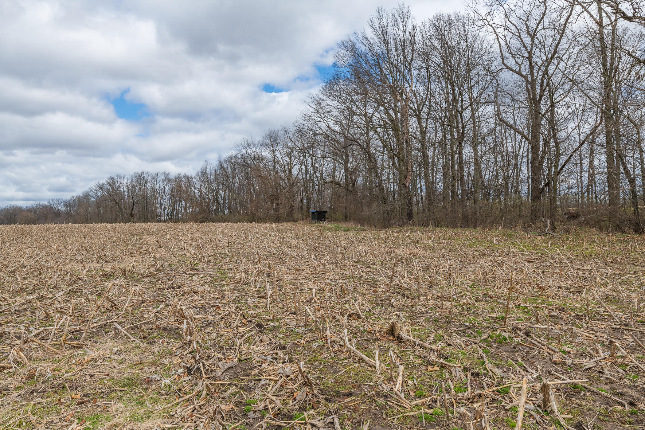 66947 Patterson Road Constantine, MI 49042 - Photo 45 of 56 Acreage