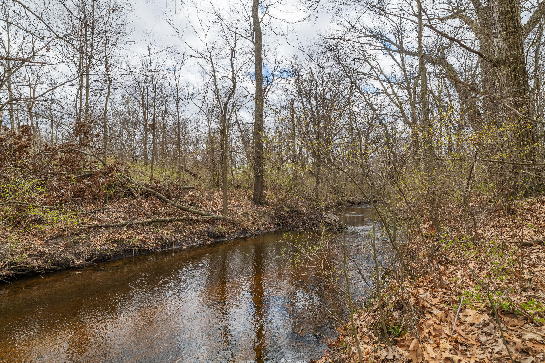 66947 Patterson Road Constantine, MI 49042 - Photo 46 of 56 Acreage