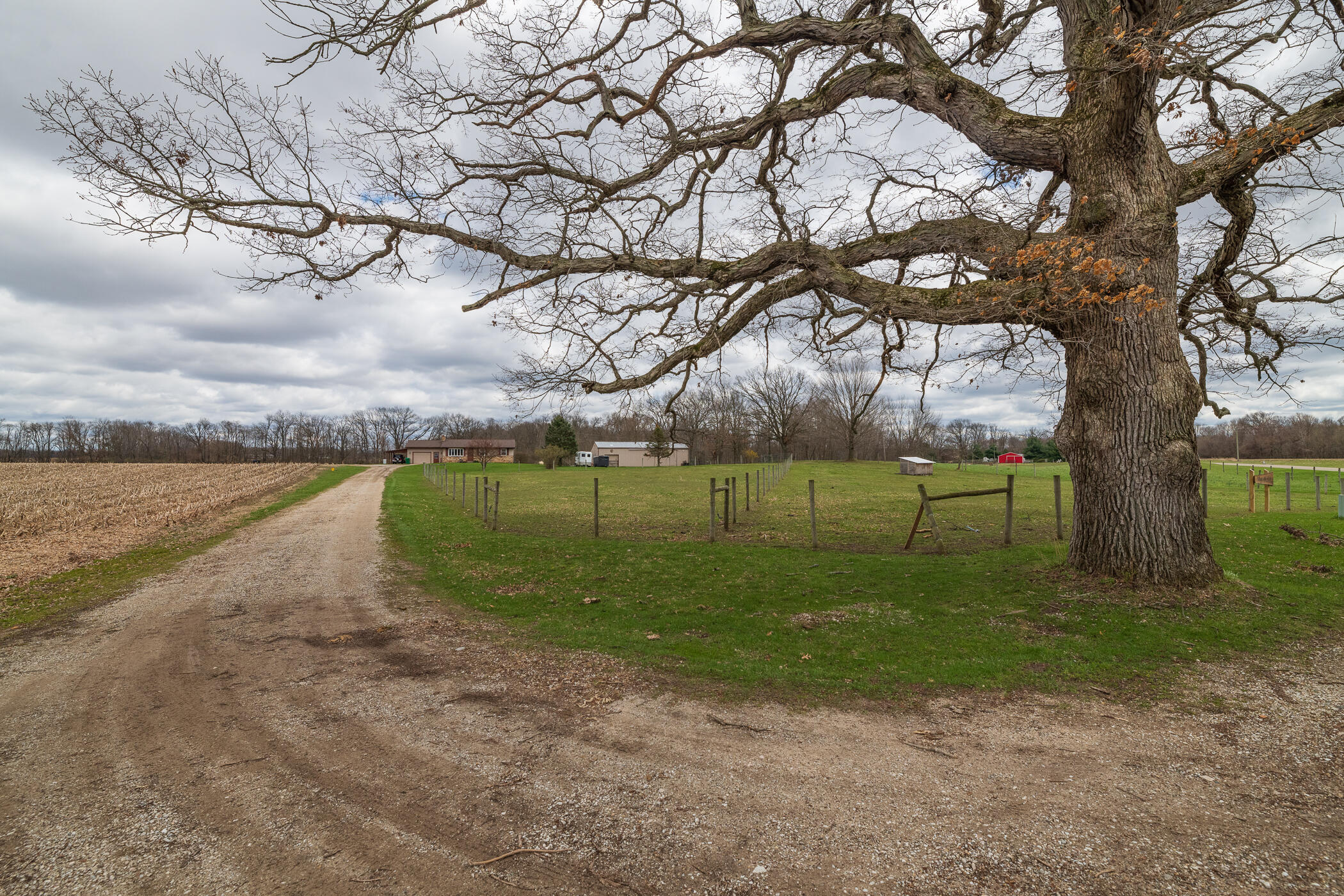 66947 Patterson Road Constantine, MI 49042 - Photo 53 of 56 Driveway