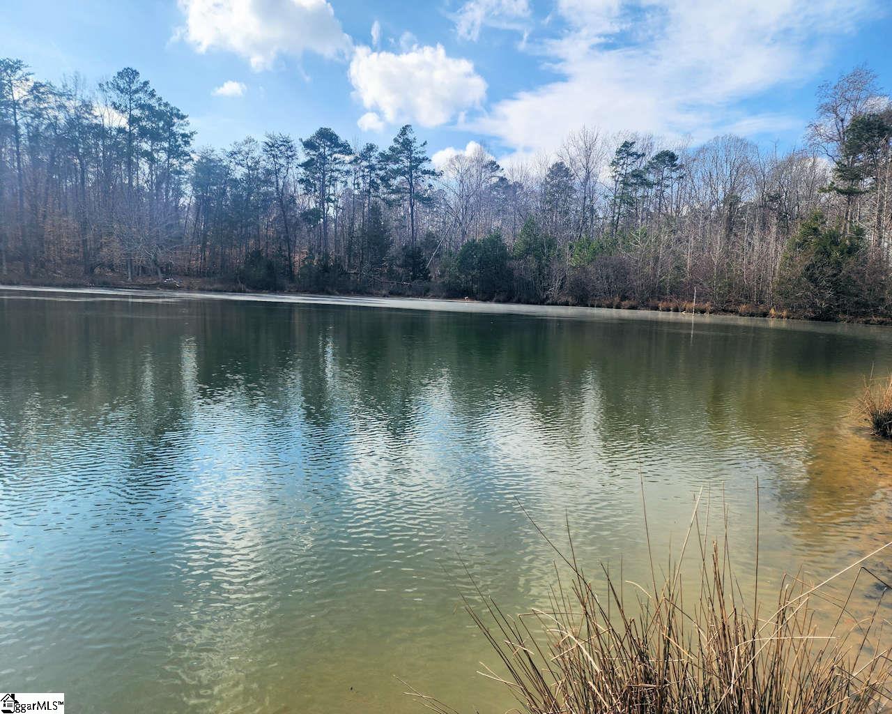 3068 State Rd S-30-40 Gray Court, SC 29645 - Photo 8 of 27