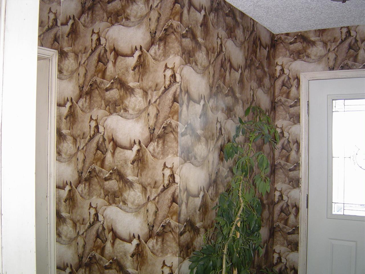 8201 Bushland Road Amarillo, TX 79119 - Photo 4 of 10 Entry
