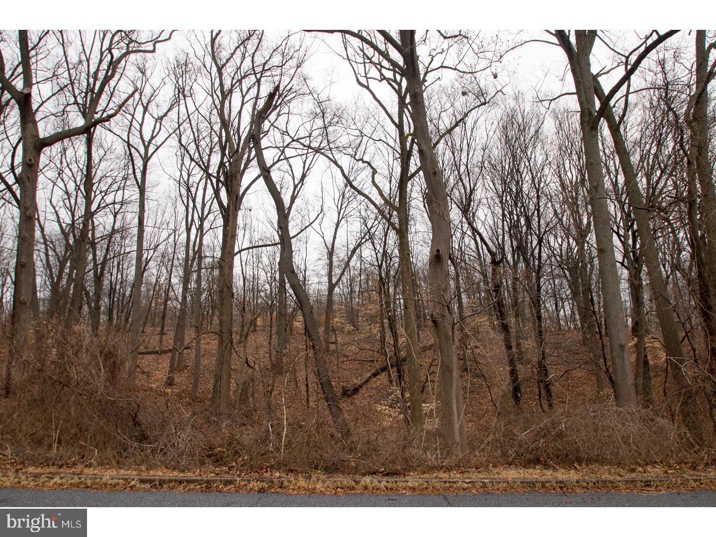 932 East Cathedral Road Philadelphia, PA 19128 - Photo 24 of 25 View from Front Door