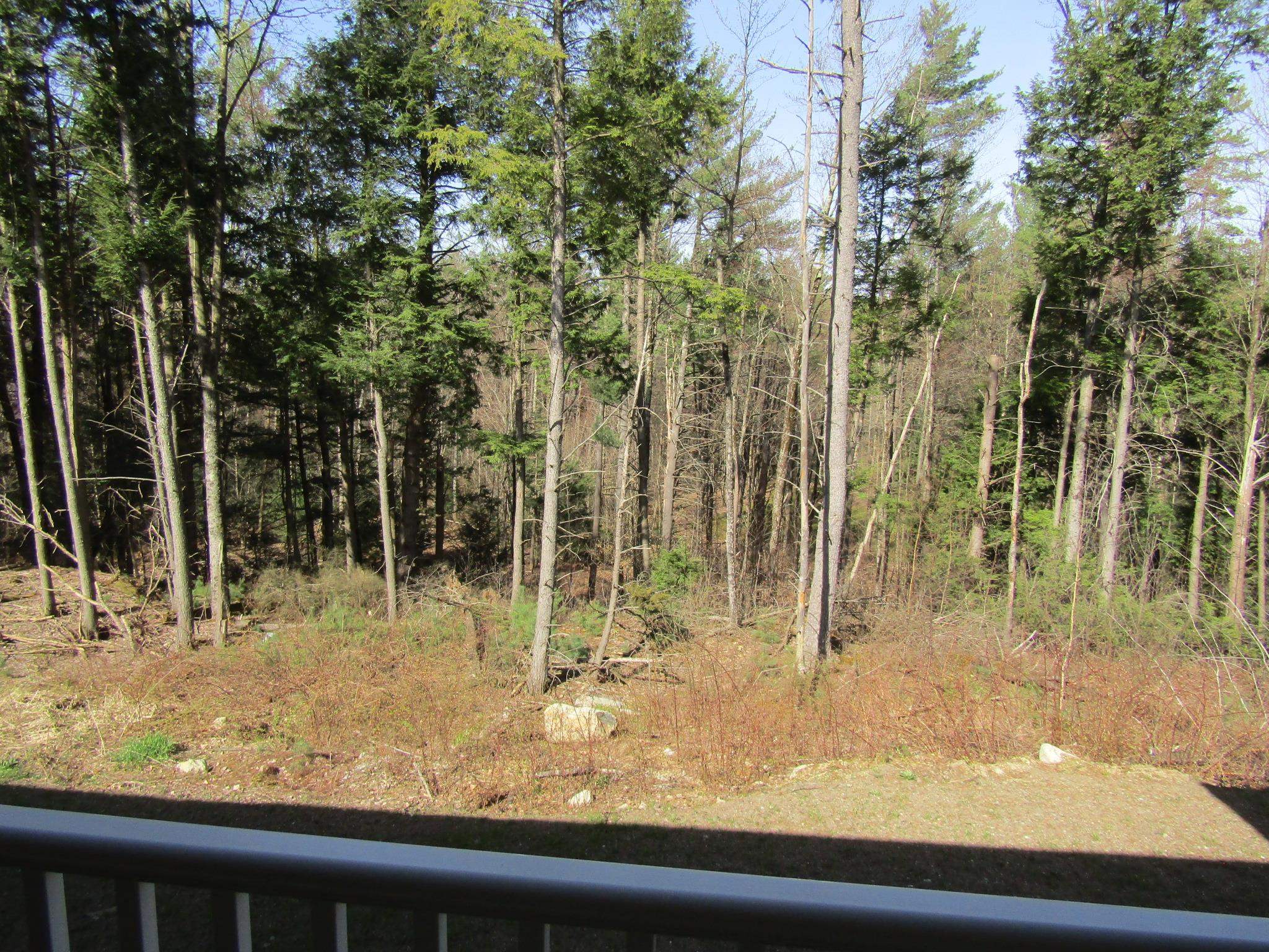 142 Jaylynn Lane Sheldon, VT 05457 - Photo 28 of 35