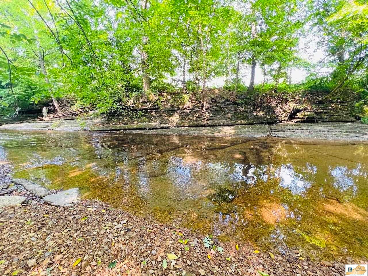 529 Coppage Road Russell Springs, KY 42642 - Photo 56 of 56 Gallery Image 56