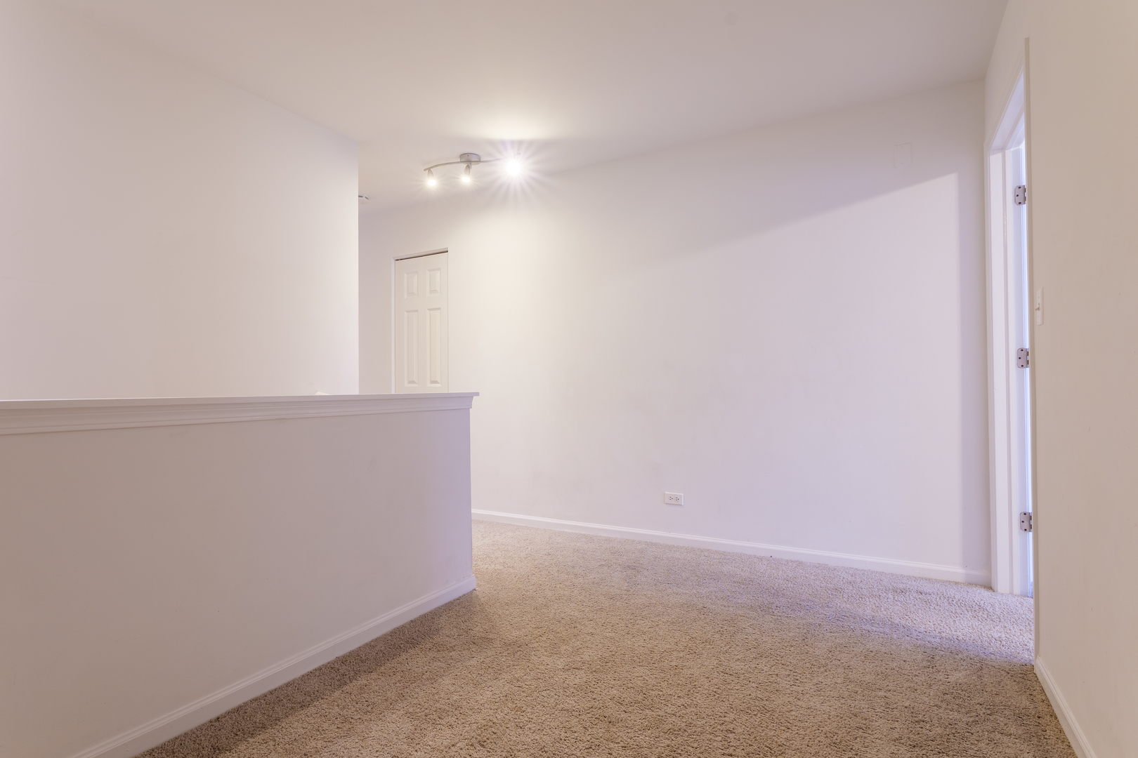261 Springbrook Trail South Oswego, IL 60543 - Photo 6 of 24
