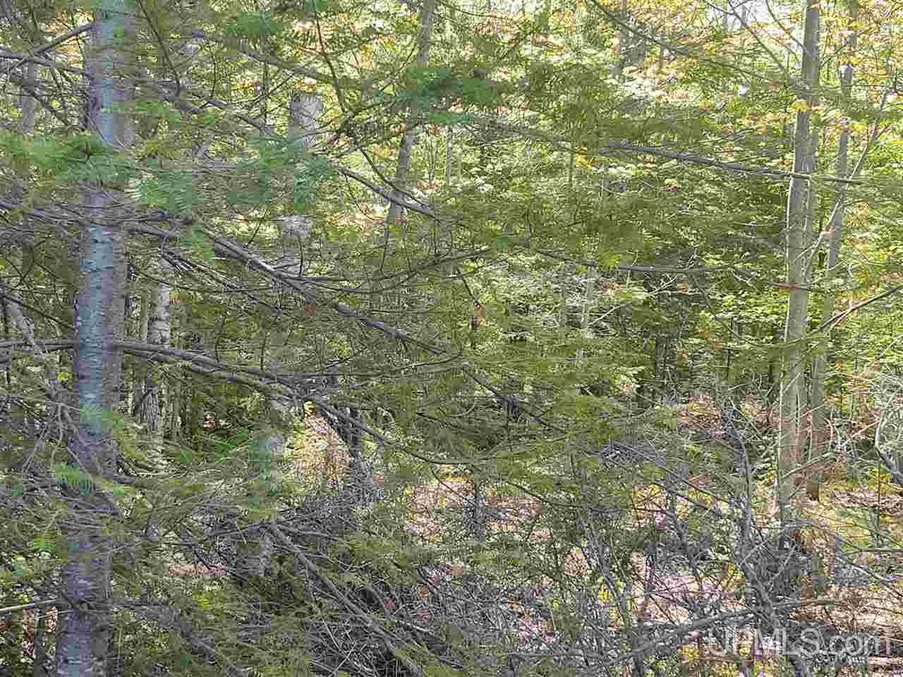 Tbd-parcel Point Abbaye Road Lanse, MI 49946 - Photo 33 of 39