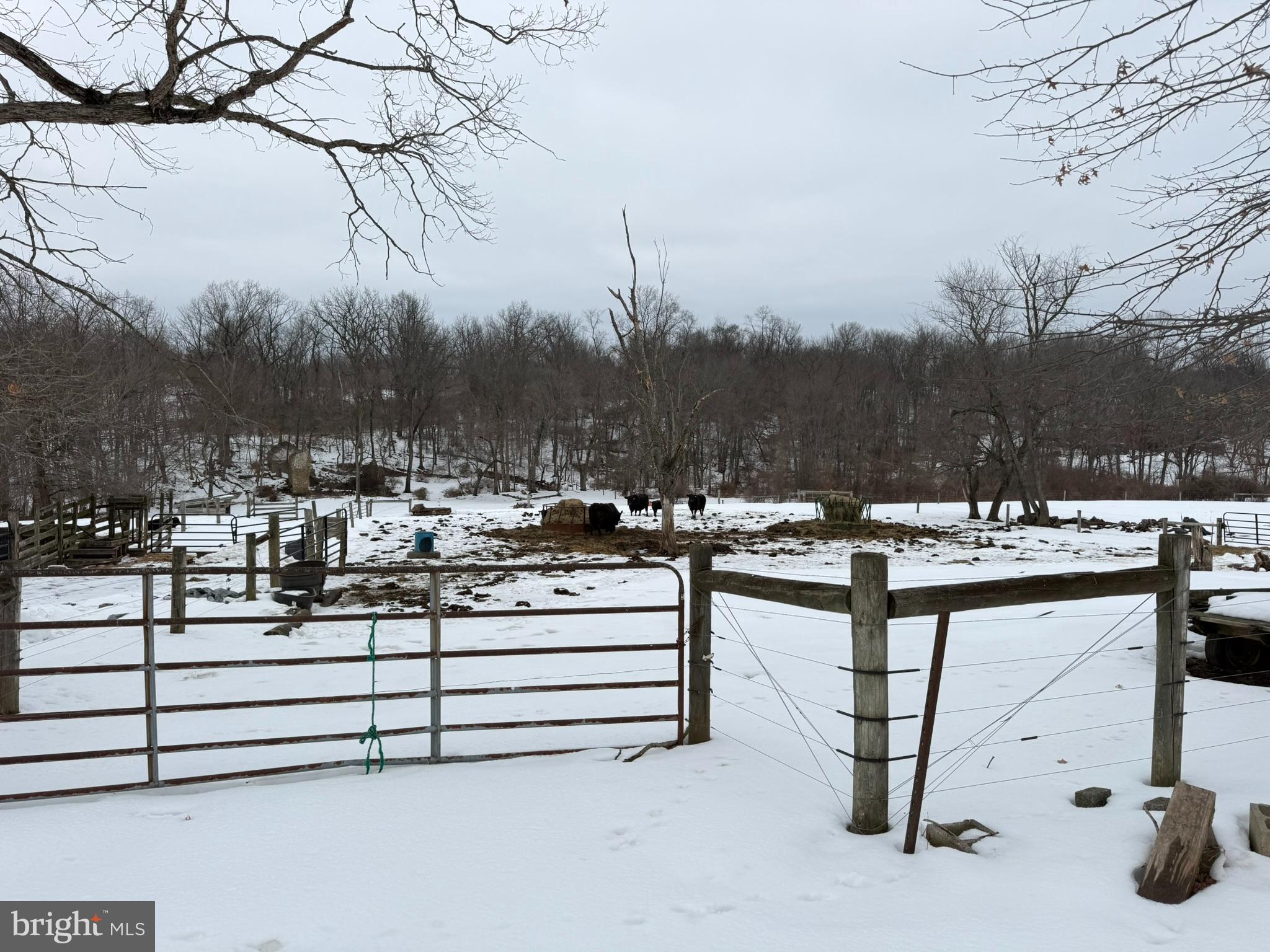 280 Mapleflower Road Glenmoore, PA 19343 - Photo 18 of 71