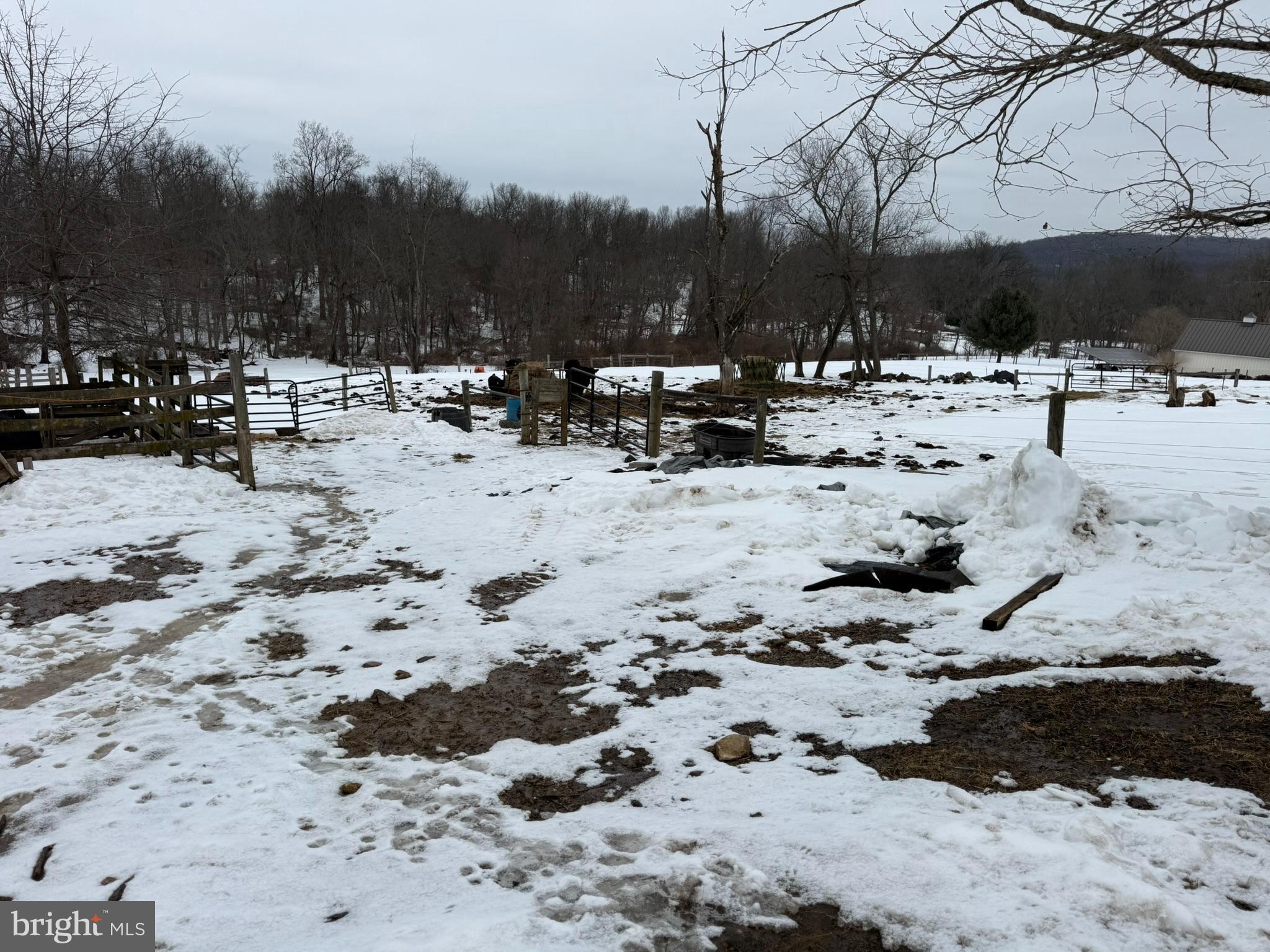 280 Mapleflower Road Glenmoore, PA 19343 - Photo 34 of 71