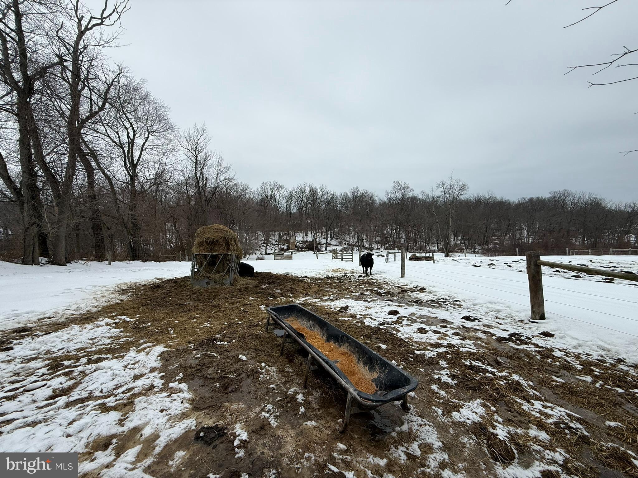 280 Mapleflower Road Glenmoore, PA 19343 - Photo 36 of 71