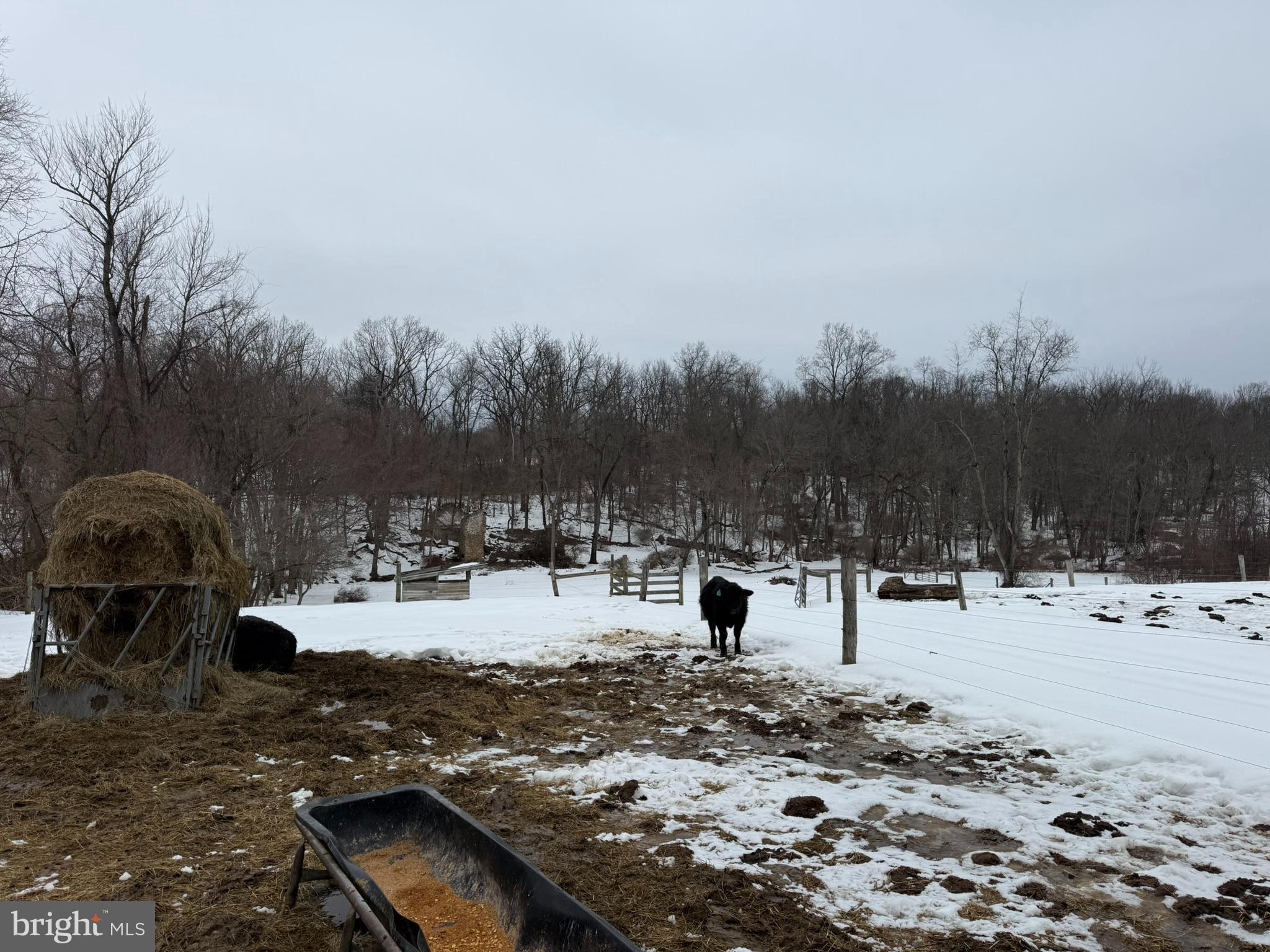 280 Mapleflower Road Glenmoore, PA 19343 - Photo 38 of 71