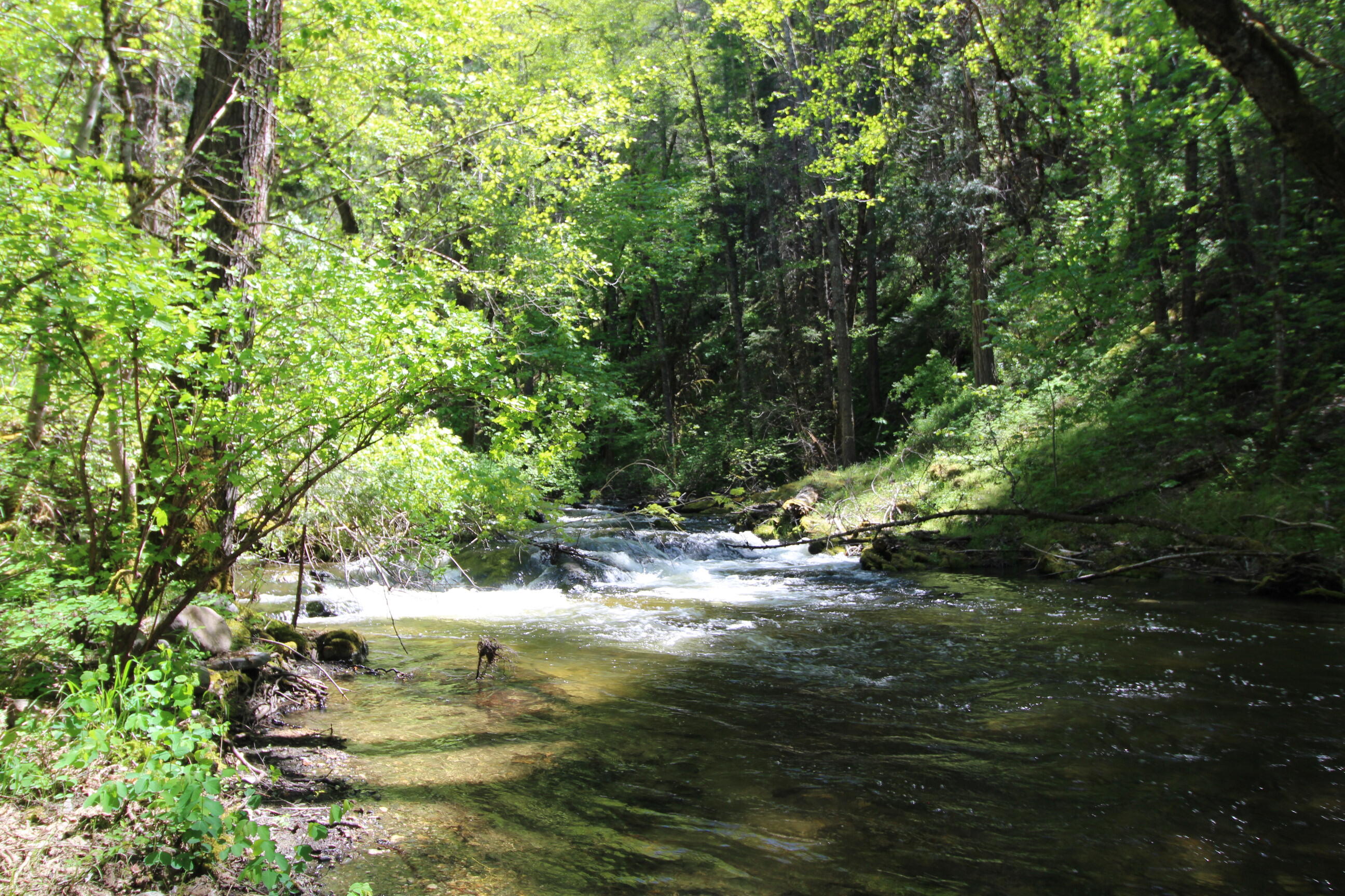 10000 Little Applegate Road Jacksonville, OR 97530 - Photo 140 of 141 trillium more river rapids