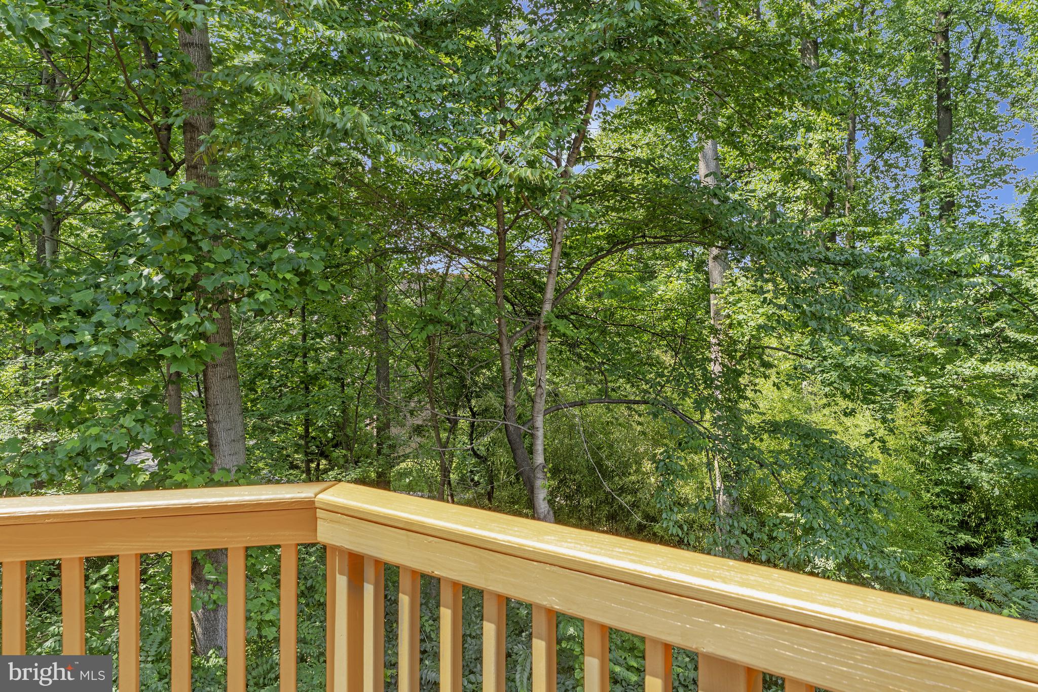 8530 Raglan Road Vienna, VA 22182 - Photo 15 of 59 Overlooking trees!