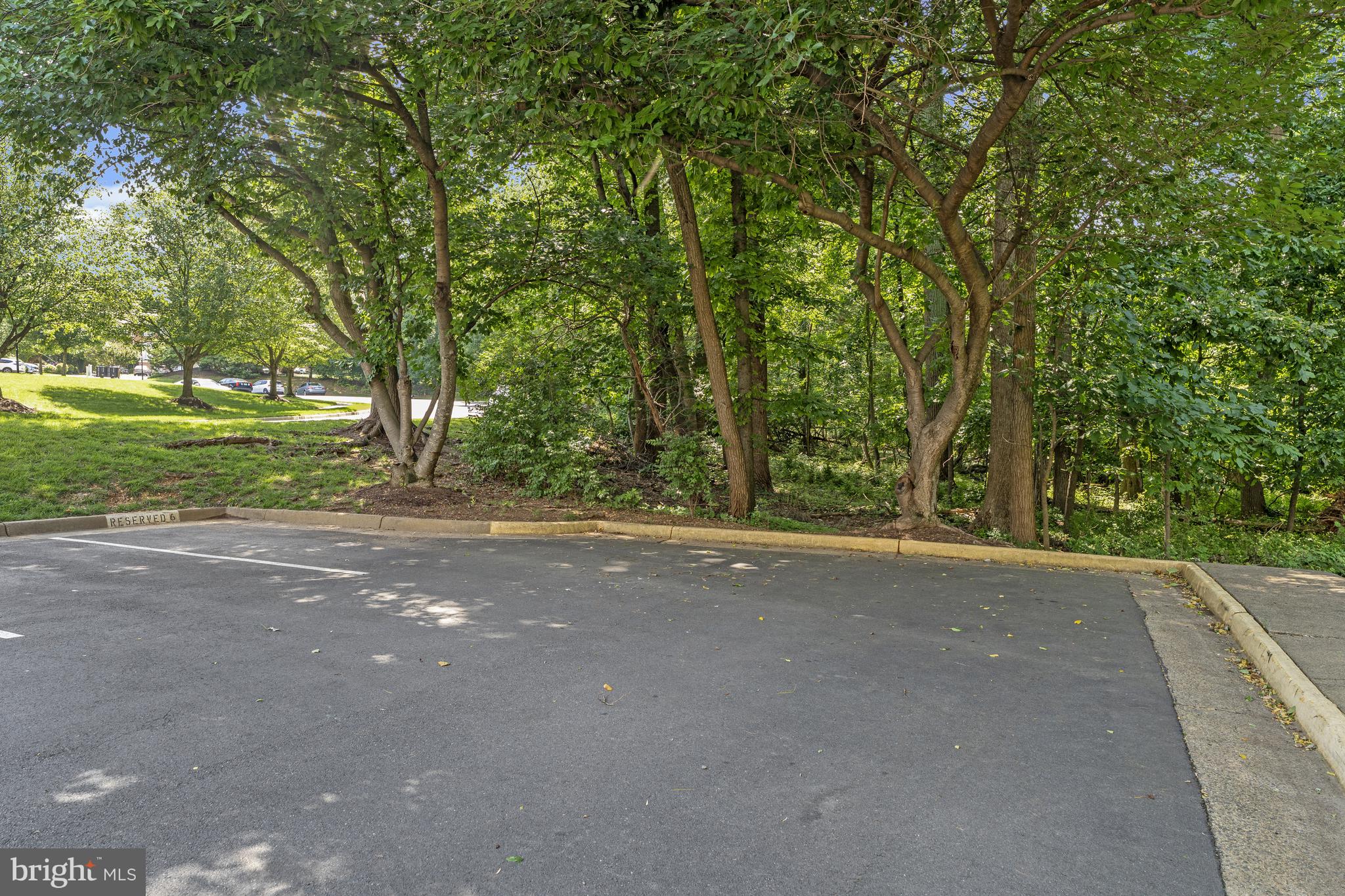 8530 Raglan Road Vienna, VA 22182 - Photo 47 of 59 Gallery Image 47