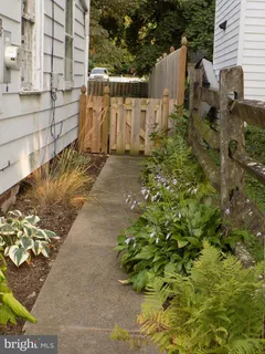 a view of small garden