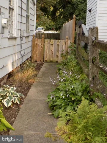 a view of small garden