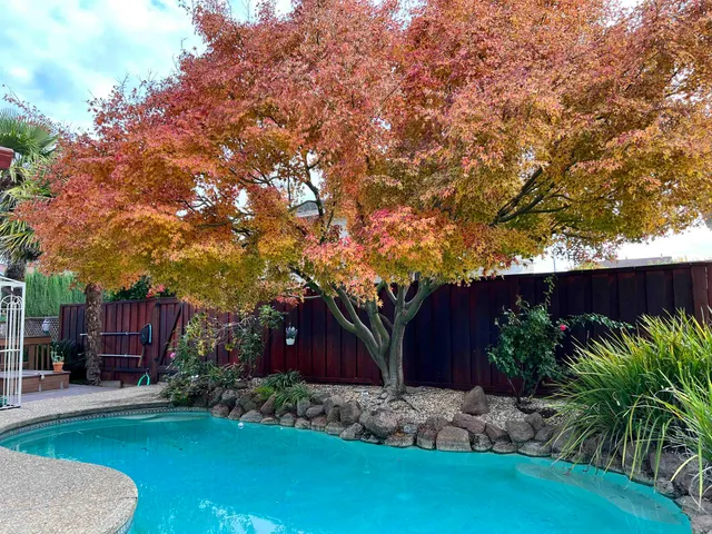 $1,688,888 | 7758 Forsythia Court, Pleasanton, CA 94588