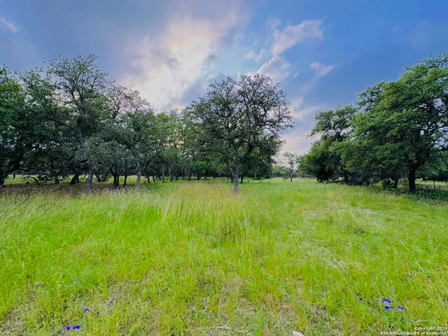 a view of yard with swimming pool and green space