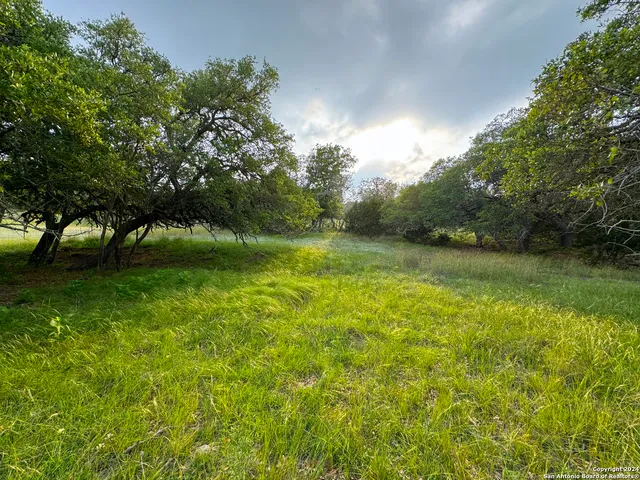 a view of outdoor space with deck and yard