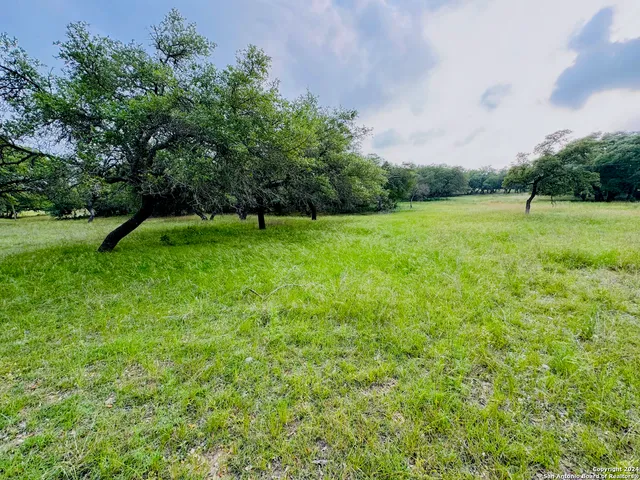 a view of an outdoor space and a yard