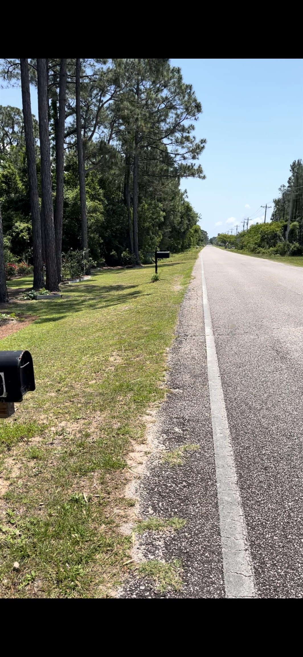 37824 County Road 1 Fairhope, AL 36532 - Photo 9 of 17 Looking South