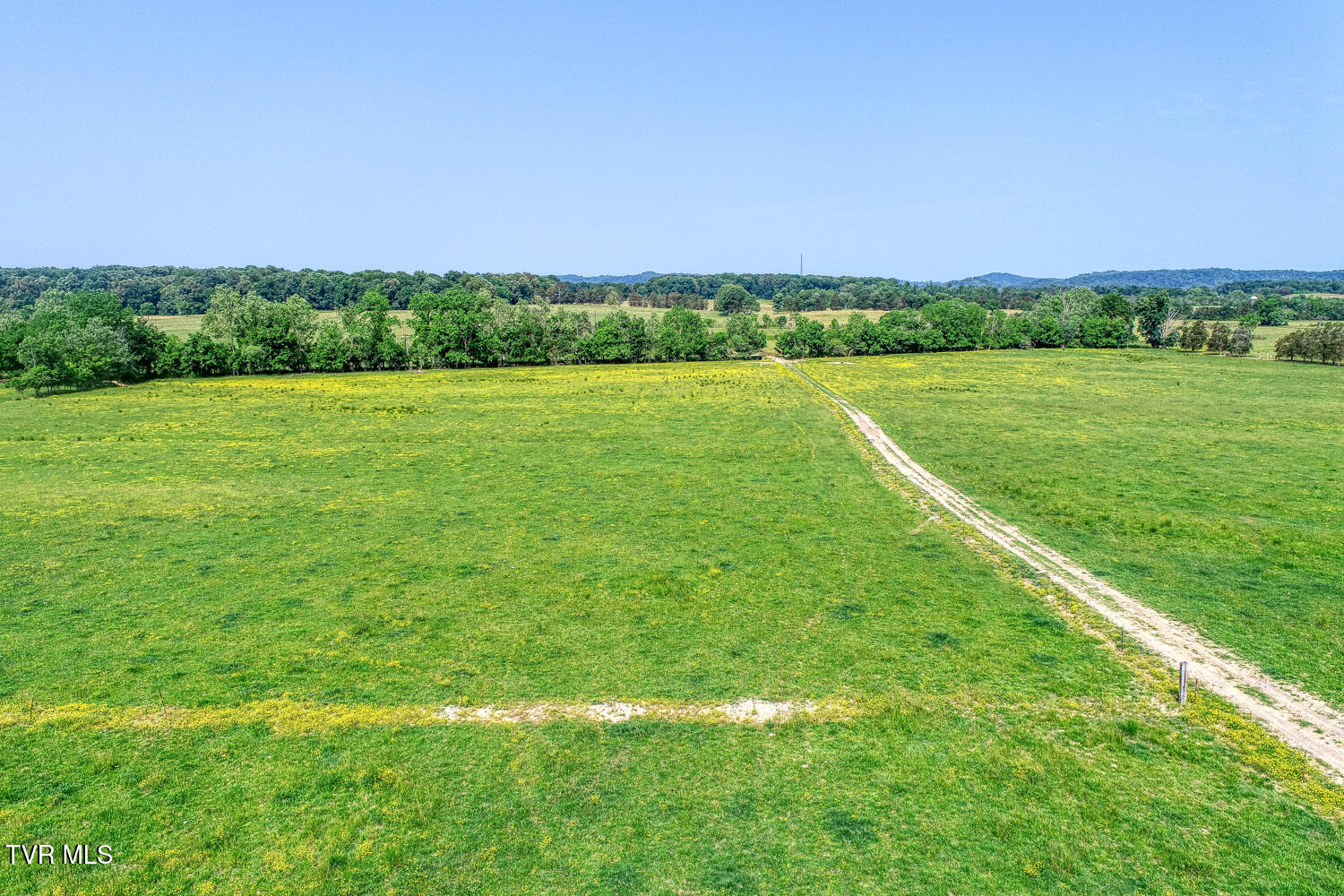 4135 Ottway Road Greeneville, TN 37745 - Photo 112 of 116 J Carter Ottway Gvl MLSa (37 of 113)