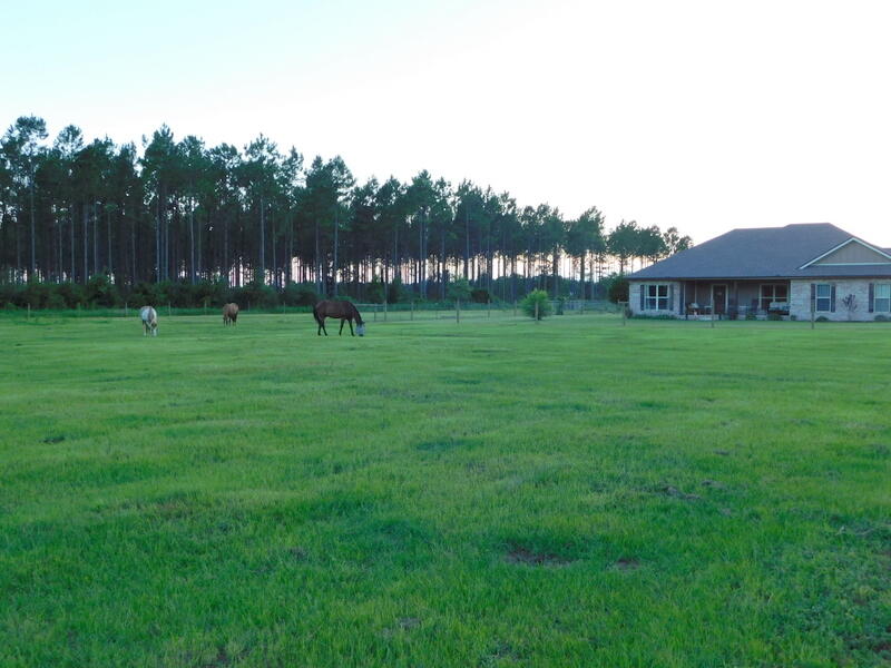 5856 Bush Road Baker, FL 32531 - Photo 43 of 57 a view of a park with large trees