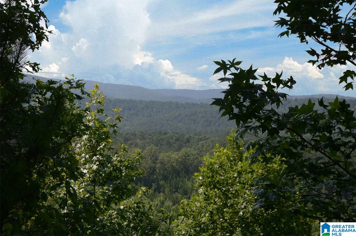 10098 County Road 55, Unit 24 ACRES Fruithurst, AL 36262 - Photo 5 of 27