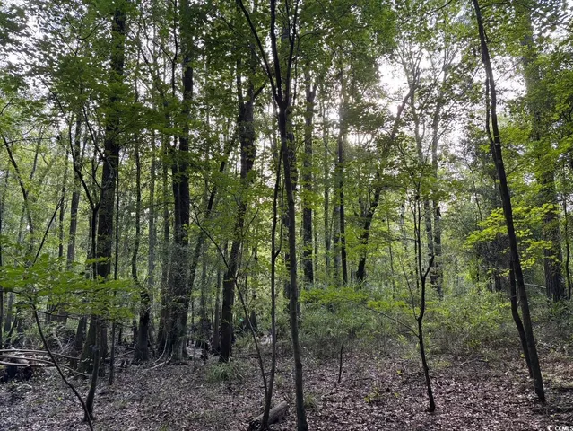 $749,900 | 57 Highway 57, Dillon, SC 29536