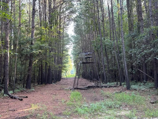 $749,900 | 57 Highway 57, Dillon, SC 29536