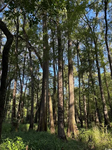 $749,900 | 57 Highway 57, Dillon, SC 29536