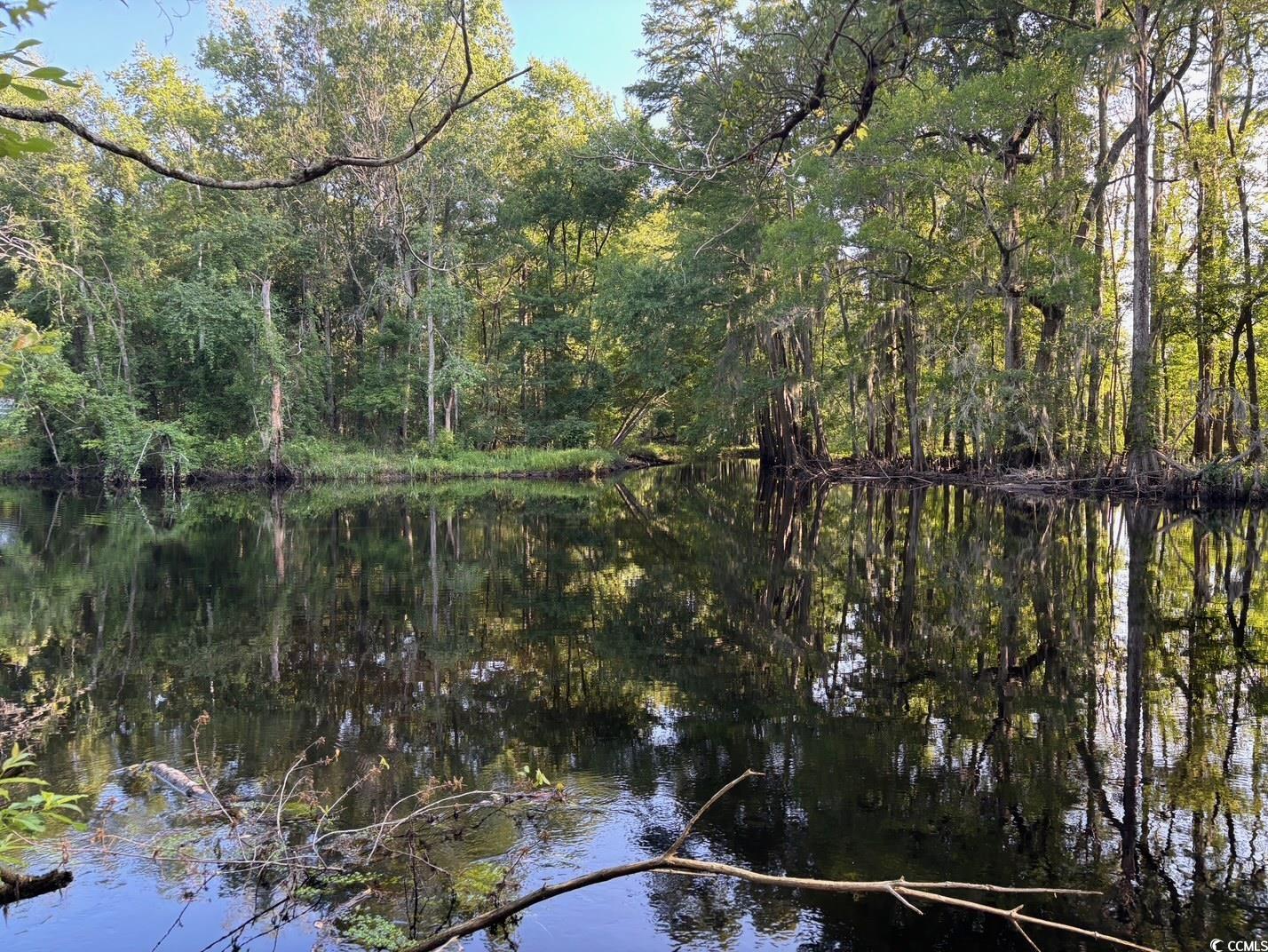 57 Highway 57 Dillon, SC 29536 - Photo 18 of 23 View of wooded area featuring a water view