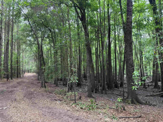 $749,900 | 57 Highway 57, Dillon, SC 29536